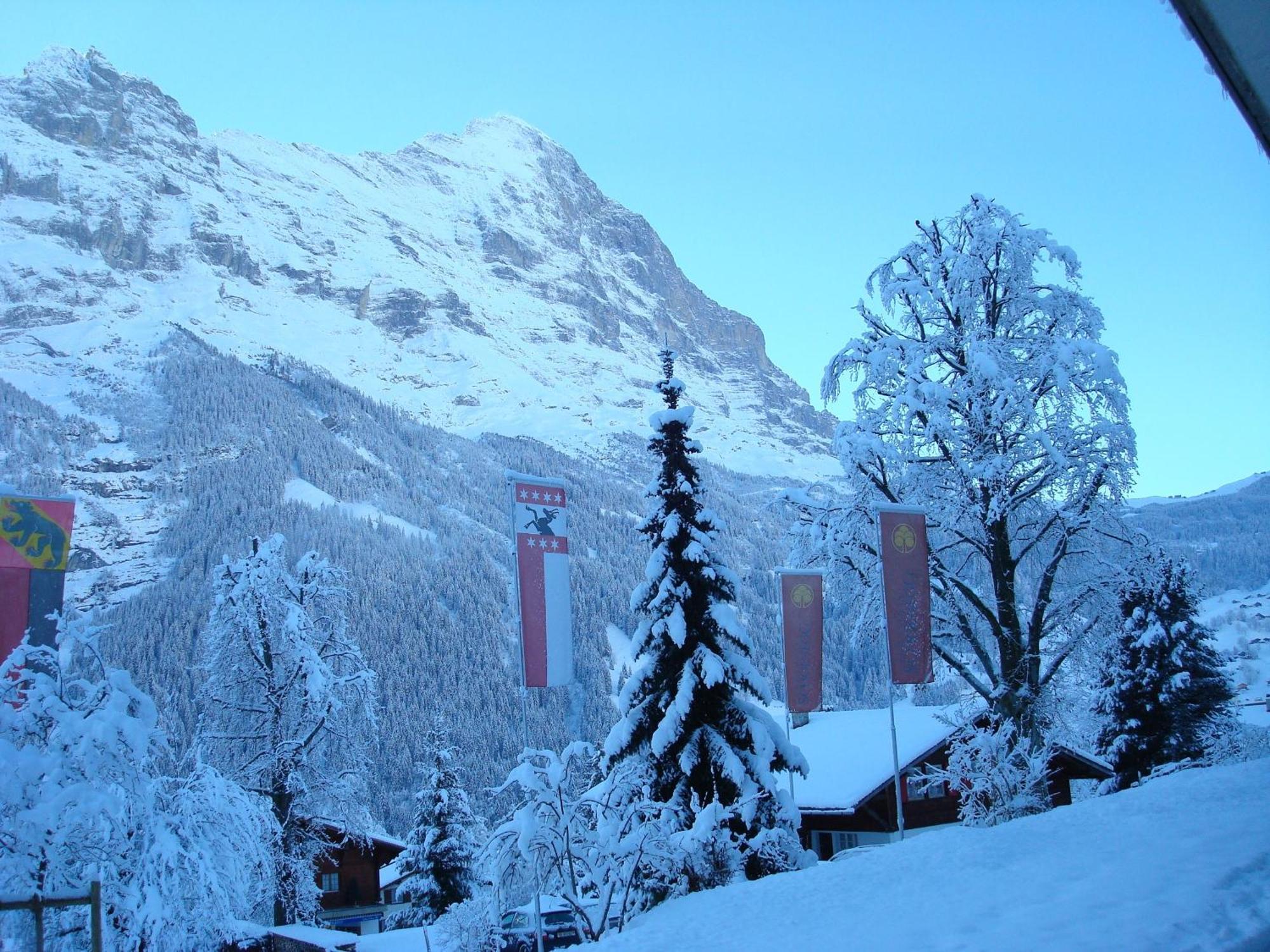 Parkhotel Schoenegg Hotel Grindelwald