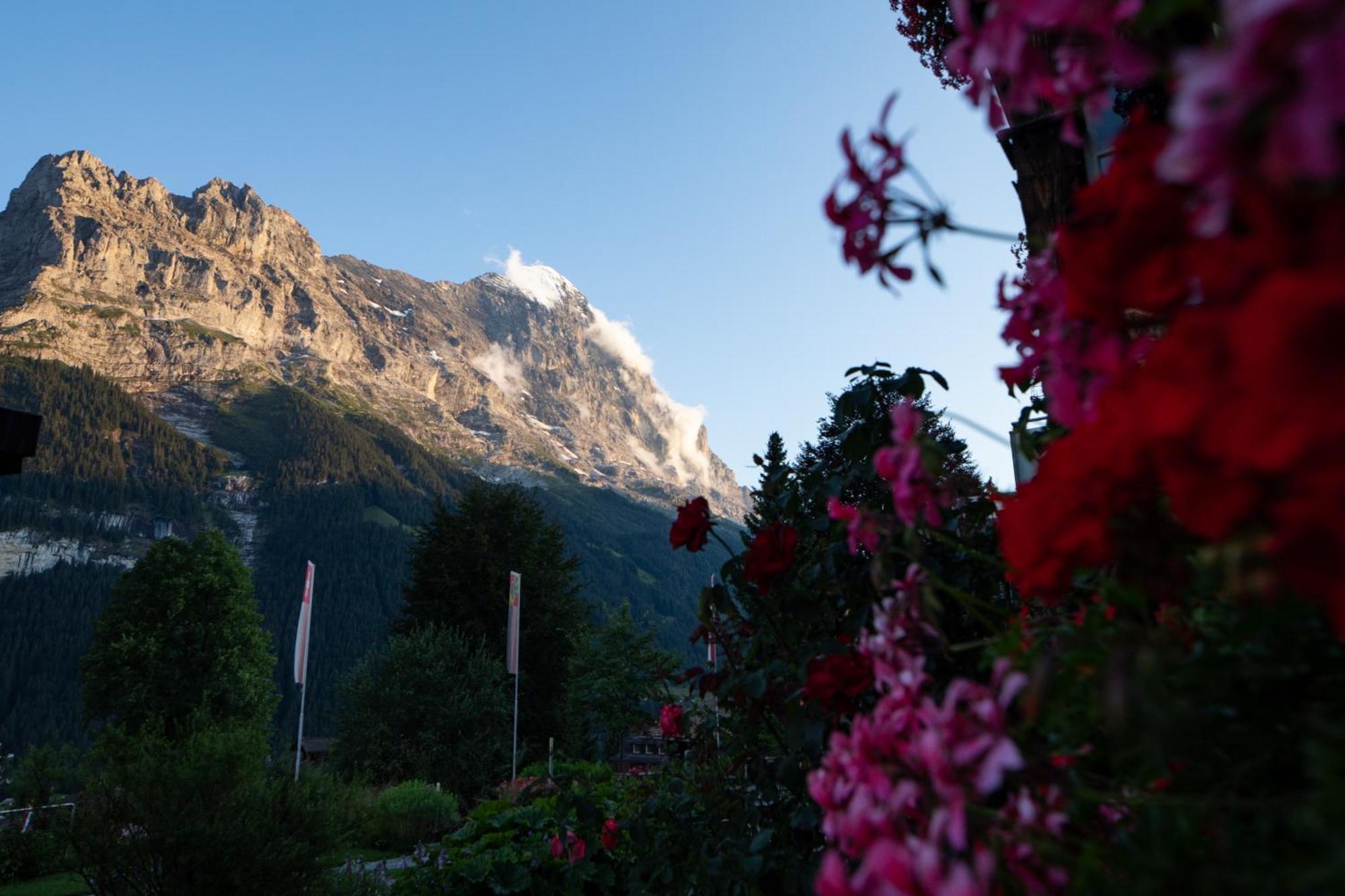 Parkhotel Schoenegg Hotel Grindelwald