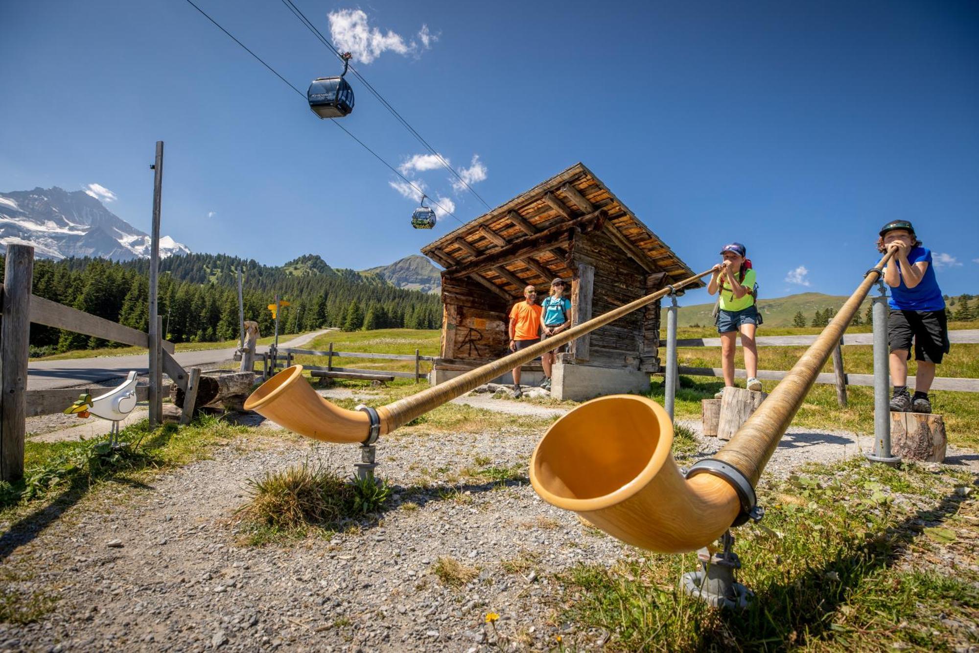 Parkhotel Schoenegg Grindelwald