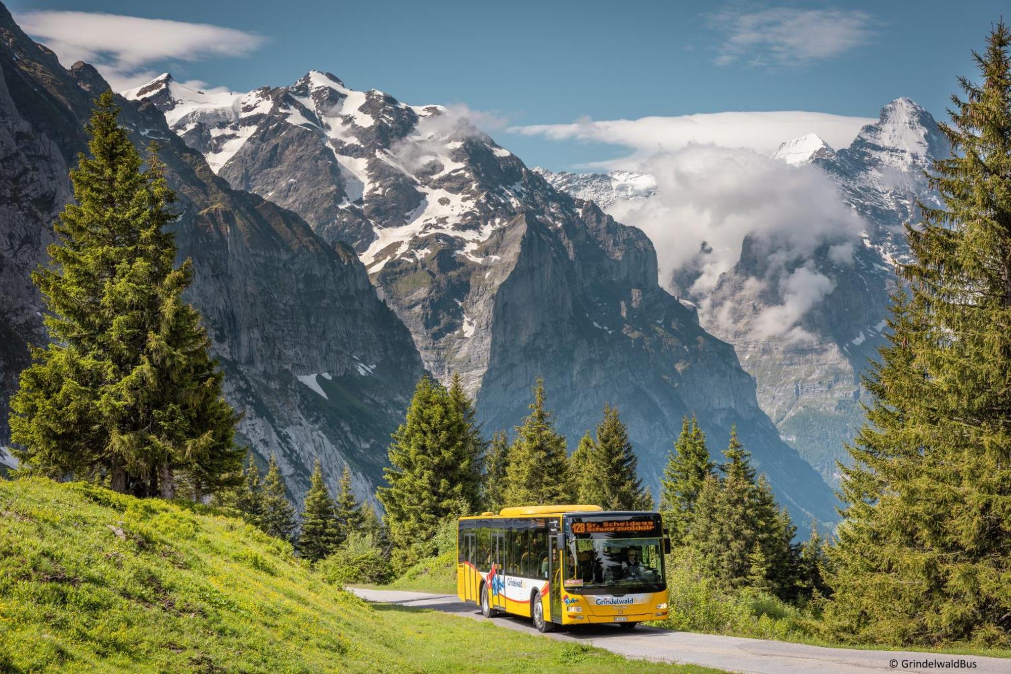 Parkhotel Schoenegg 3*